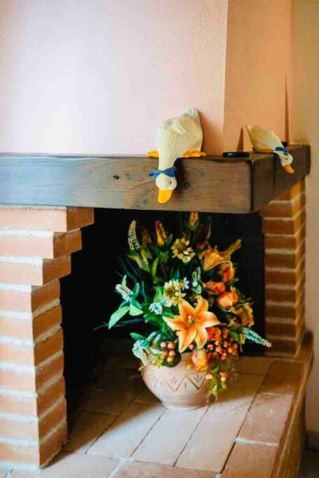 A Casa Di Claudia Apartment Saturnia Exterior photo